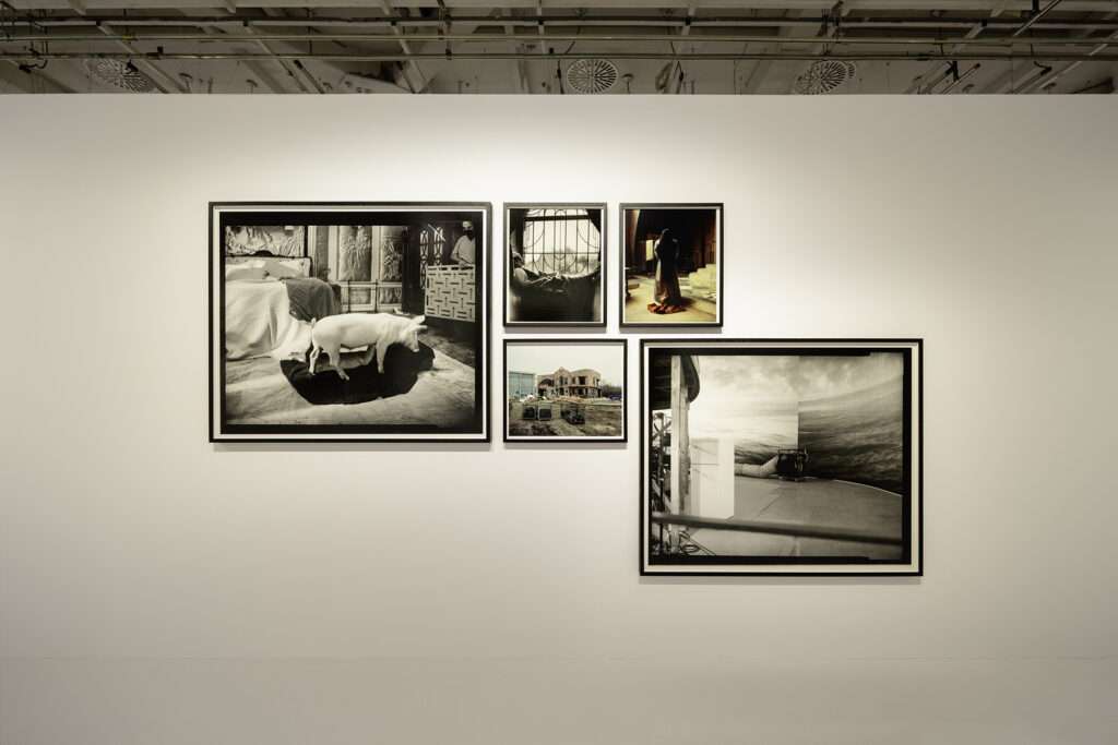 Yorgos Lanthimos Photographies